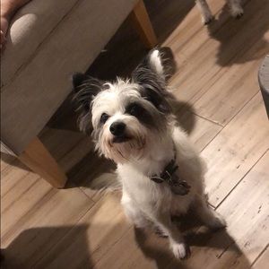 Meet your Posher, Ella